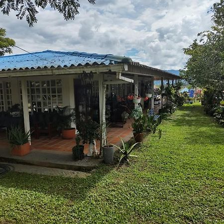 Villa Monica Montenegro Εξωτερικό φωτογραφία