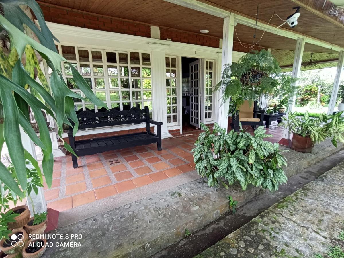 Villa Monica Montenegro Εξωτερικό φωτογραφία
