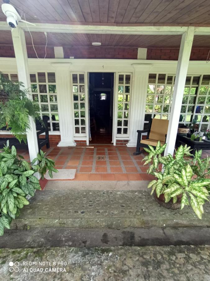 Villa Monica Montenegro Εξωτερικό φωτογραφία