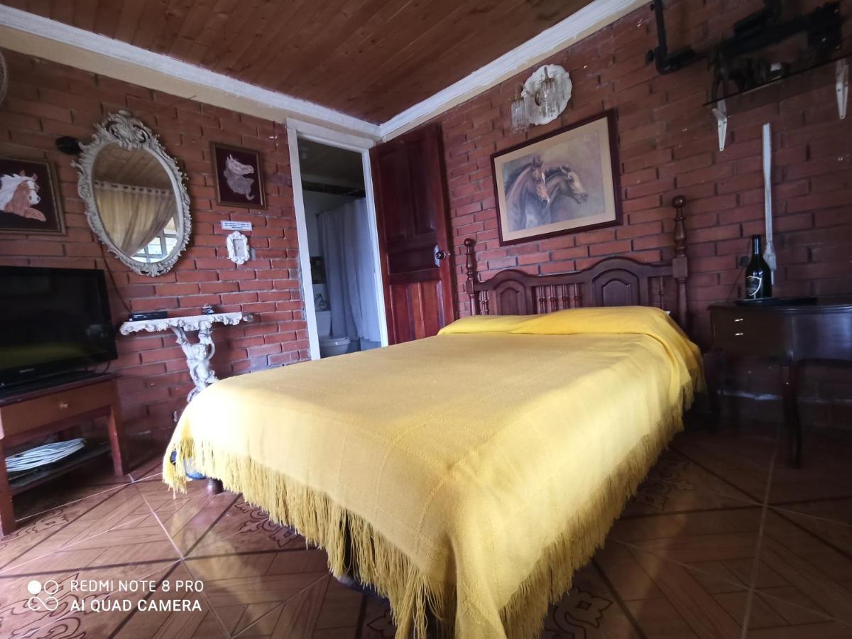 Villa Monica Montenegro Εξωτερικό φωτογραφία