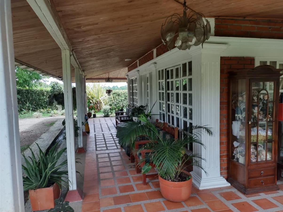 Villa Monica Montenegro Εξωτερικό φωτογραφία